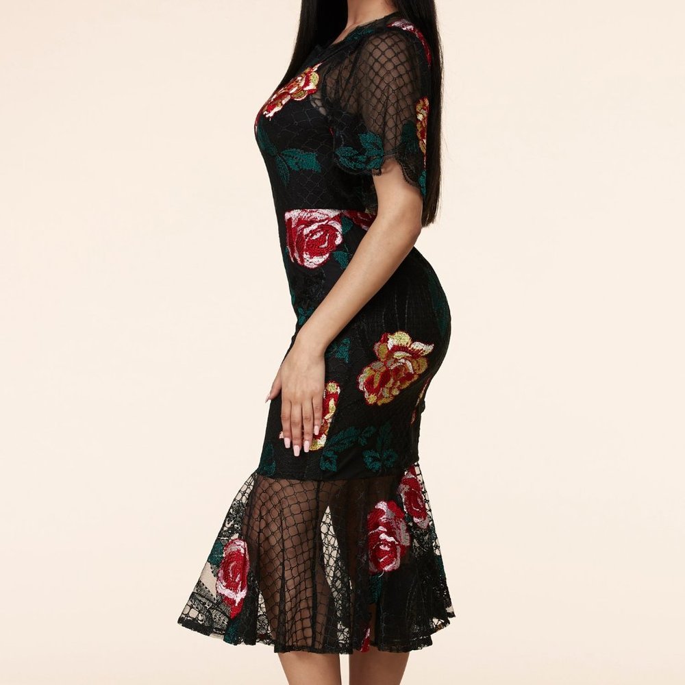 H.P. ⭐NWT -ELEGANT EMBROIDERED FLORAL LACE DRESS - Picture 4 of 8
